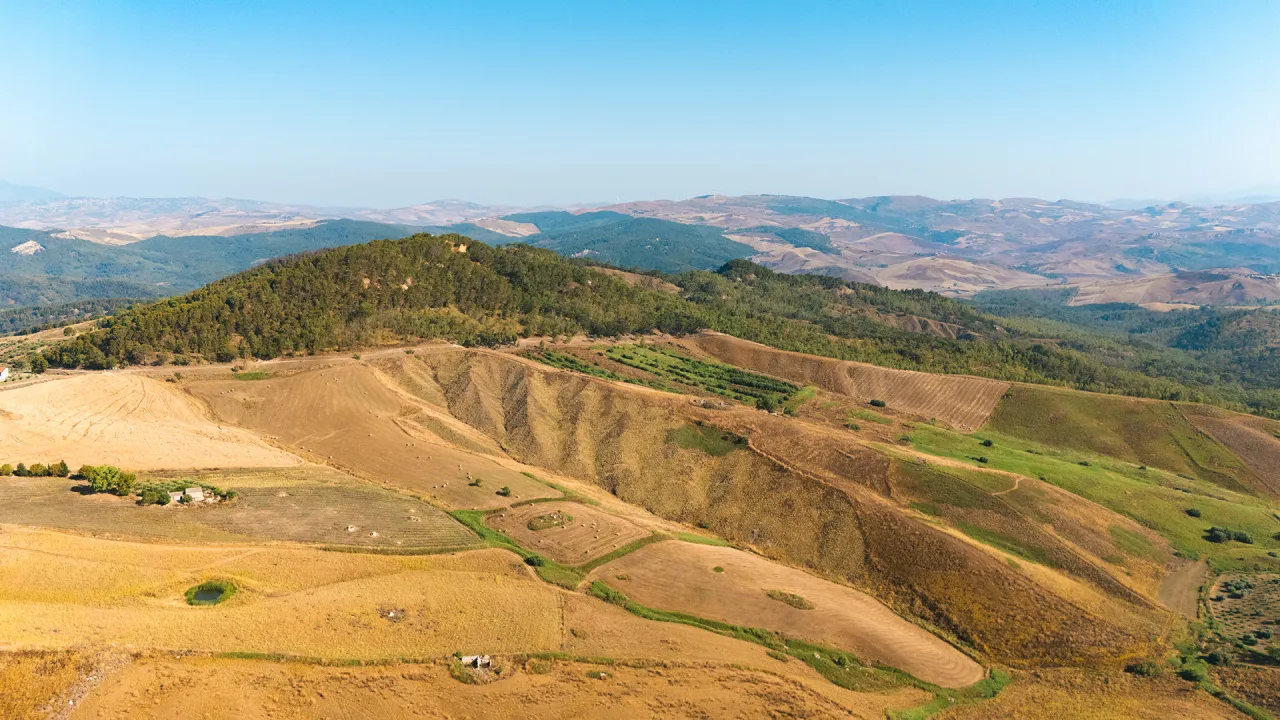 Bosco Gabara