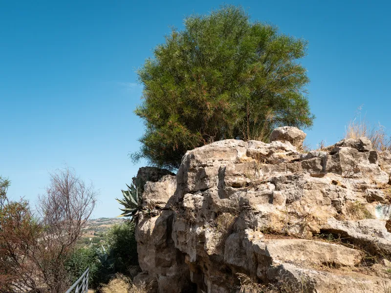 Belvedere La Petra