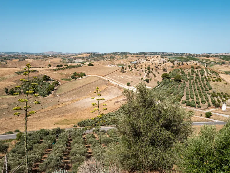 Belvedere La Petra