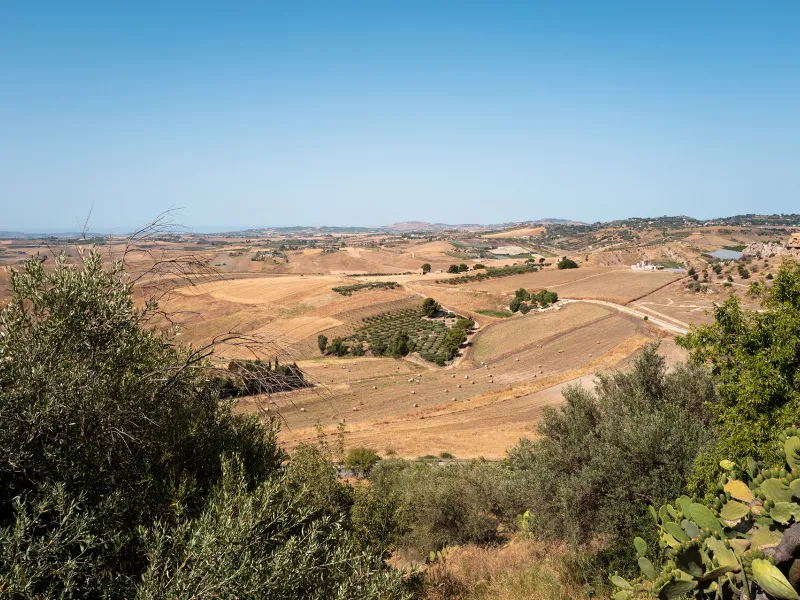 Belvedere La Petra