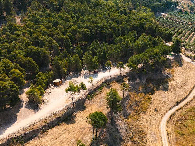 Bosco Gabara