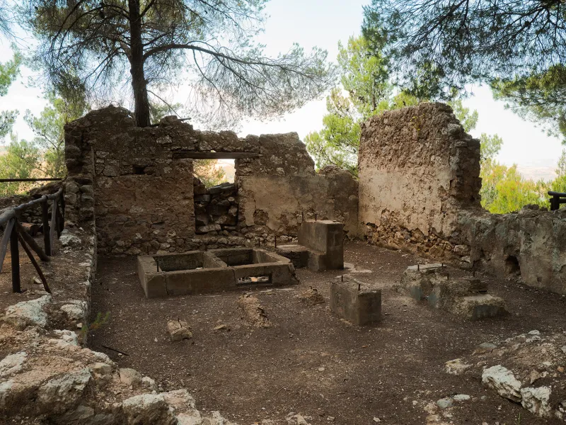 Bosco Gabara