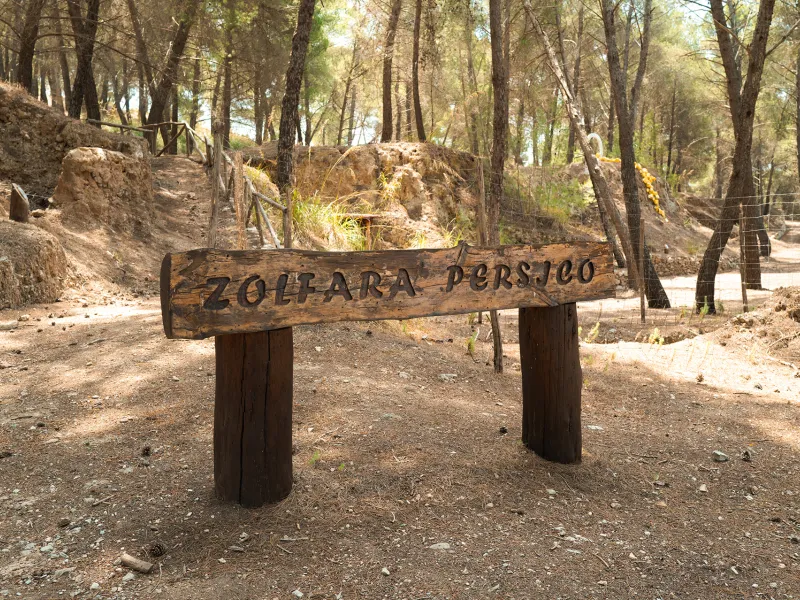 Bosco Gabara