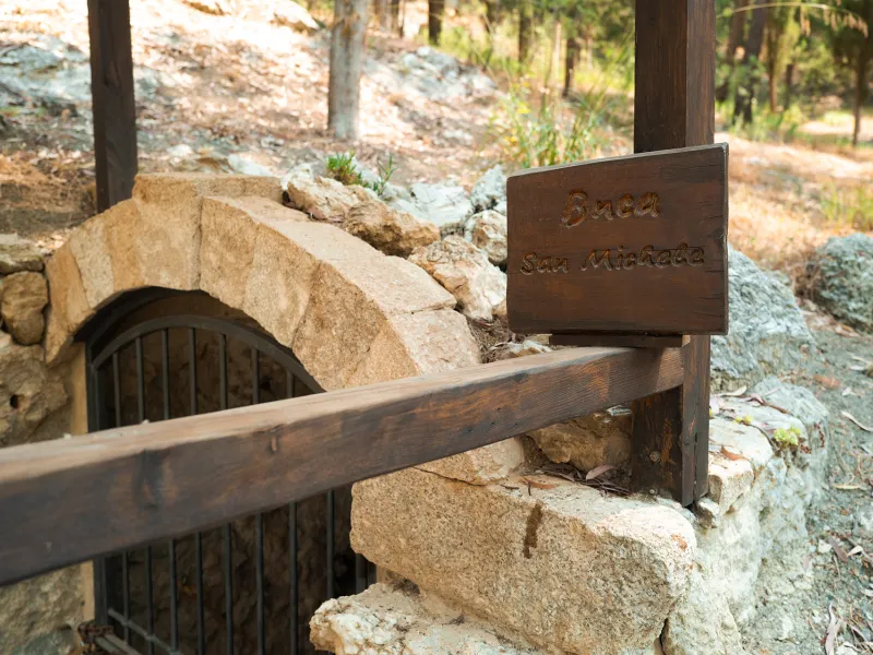 Bosco Gabara