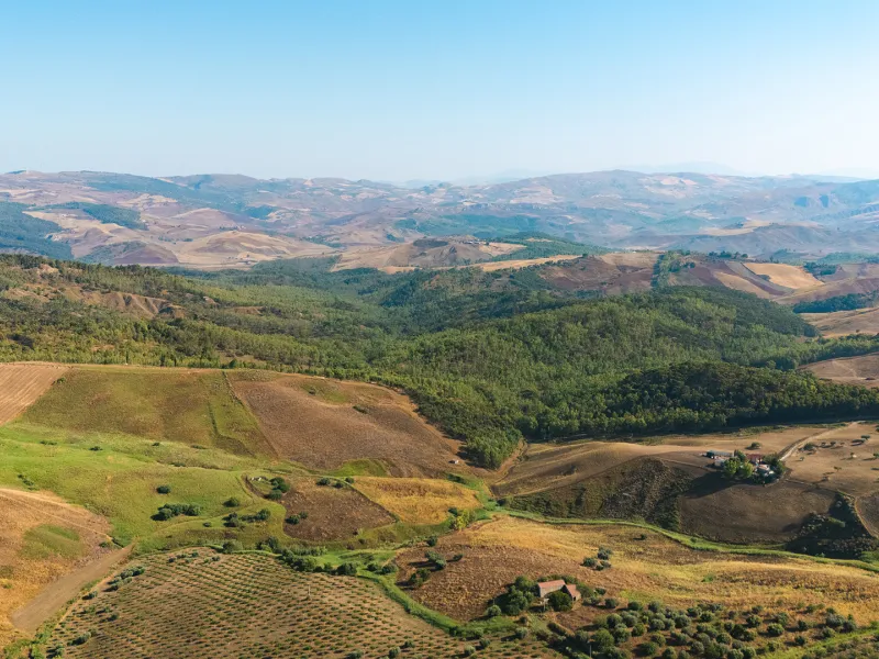 Bosco Gabara