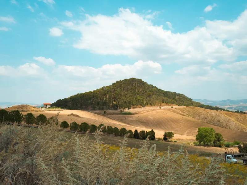 Bosco Gabara