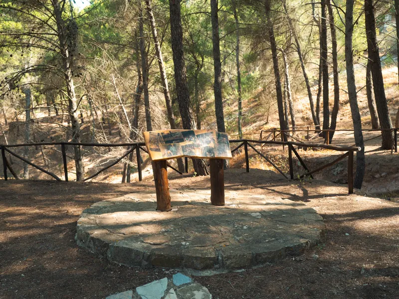 Bosco Gabara