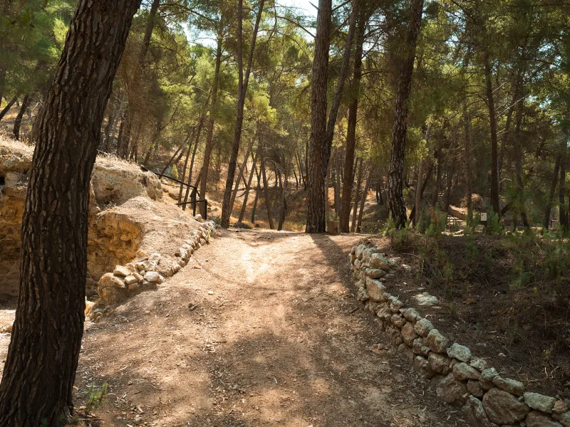 Bosco Gabara