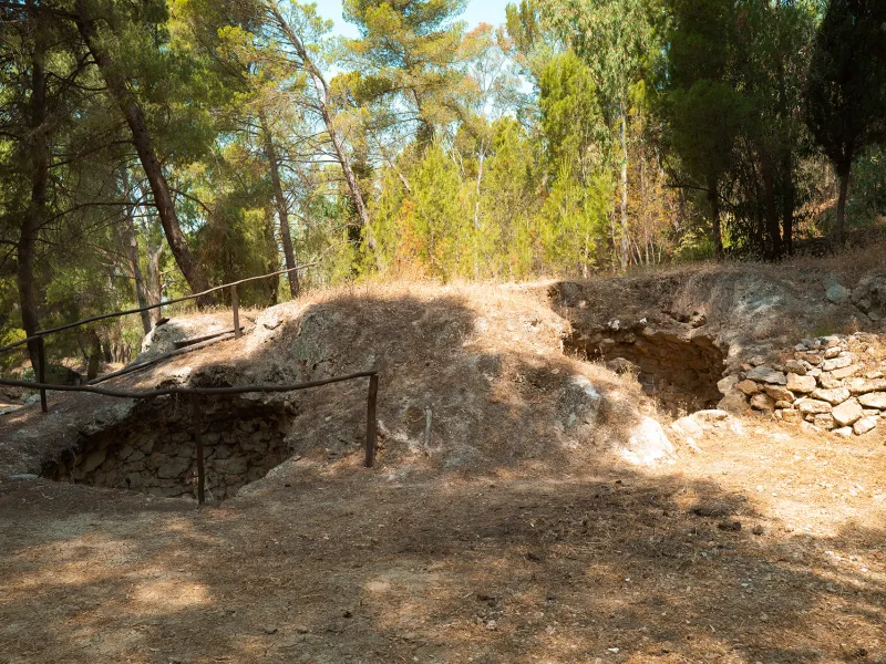 Bosco Gabara