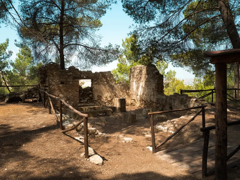 Bosco Gabara