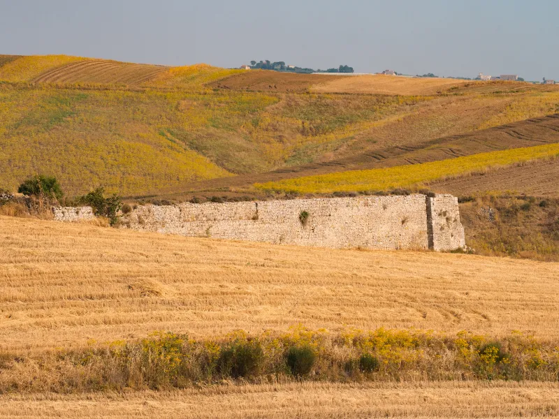 Resti dei mulini ad acqua