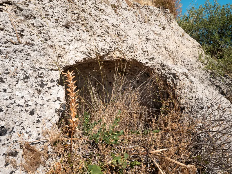 Necropoli di Cappellano