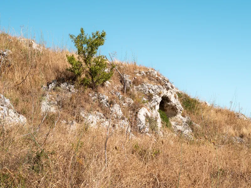 Necropoli di Cappellano