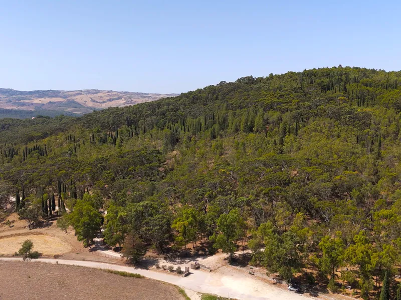 Parco Demaniale Mustigarufi
