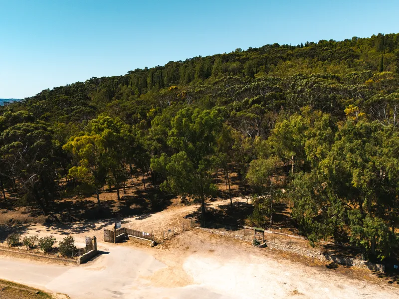 Parco Demaniale Mustigarufi