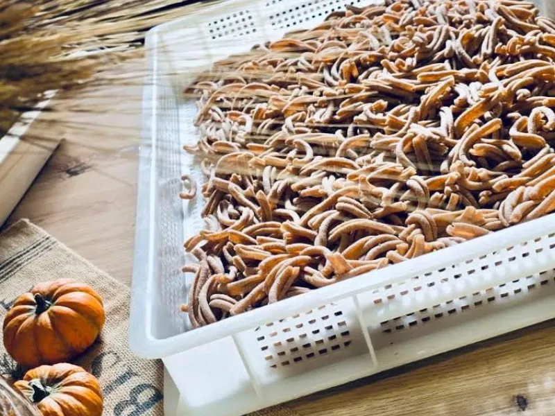 L’Arte dei Primi – Pastificio Artigianale Etico