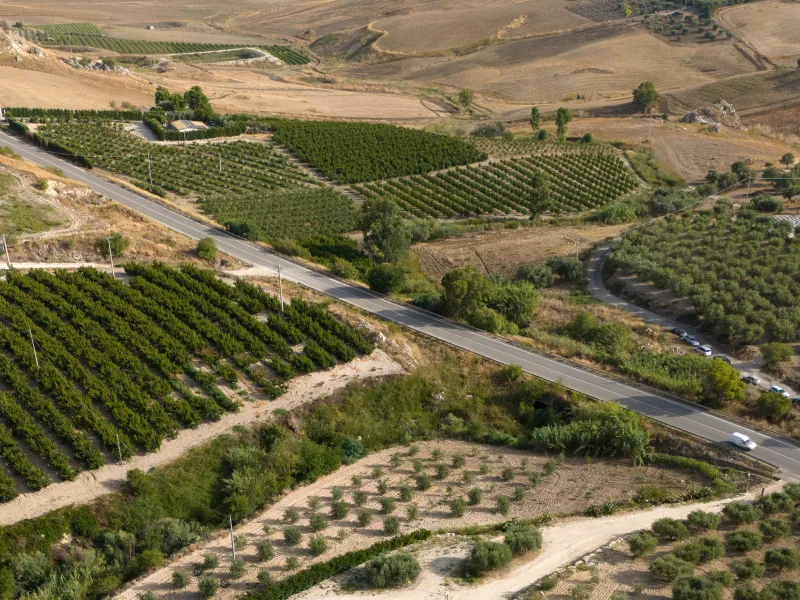 La Fattoria Di Sofia