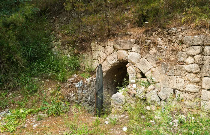 Itinerario Bosco-Palo-Mustigarufi