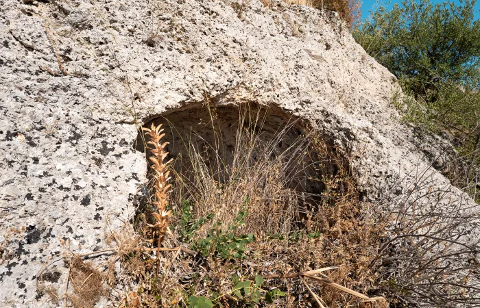 Necropoli di Cappellano