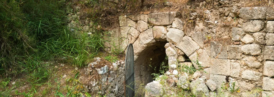 San Cataldo Apaforte-Bosco-Palo