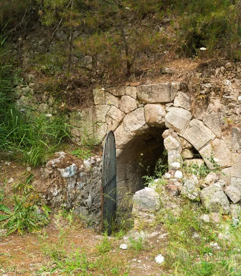 Itinerario Bosco-Palo-Mustigarufi
