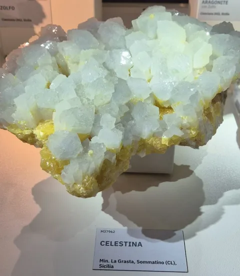 La celestina siciliana incanta Milano