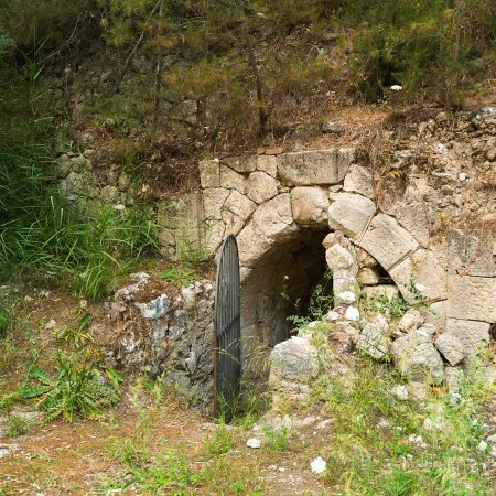Itinerario Bosco-Palo-Mustigarufi