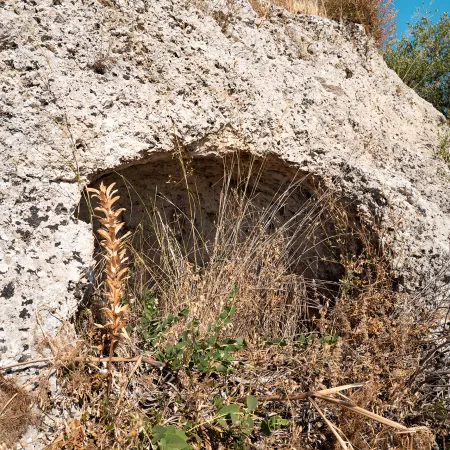 Necropoli di Cappellano