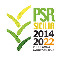 logo PSR