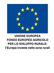 logo Unione Europea